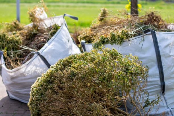 Best Yard Waste Removal  in Braselton, GA
